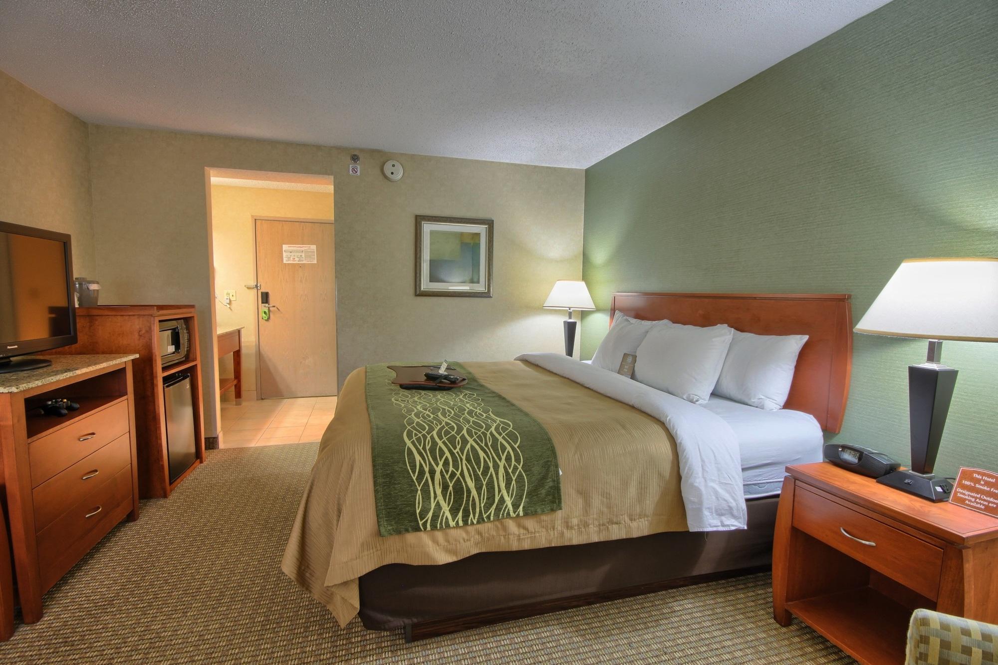 Comfort Inn Near Greenfield Village Dearborn Exterior photo